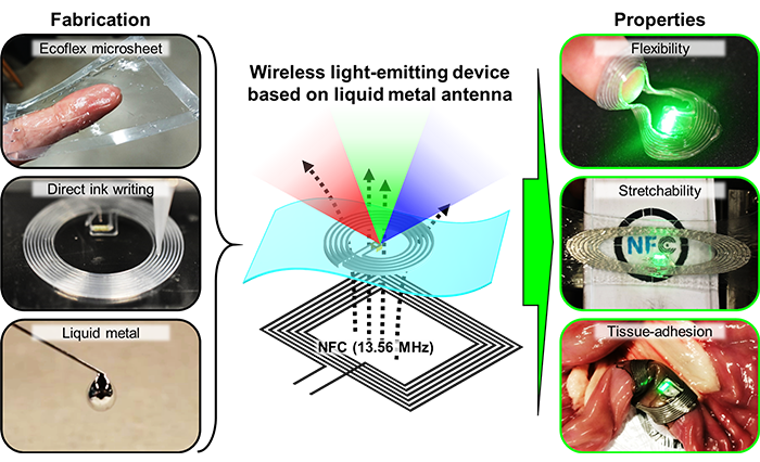 SUTD Researchers Develop Liquid Metal Antenna that Can Conform to Soft Biological Tissues
