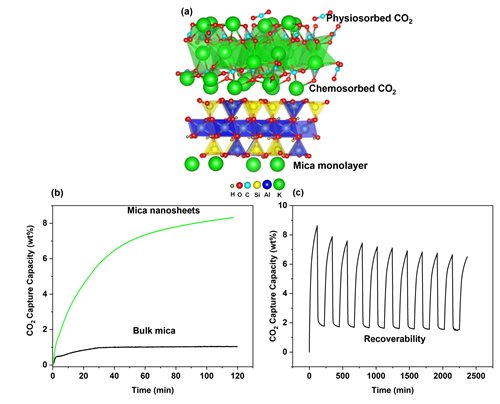(a) CO2 chemisorption on mica monolayer and form K2CO3 and CO2 physisorption on formed K2CO3. (b) CO2 adsorption comparison bulk mica vs mica nanosheets (c) Recoverability test for mica nanosheets.